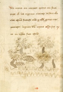 bestiari 2